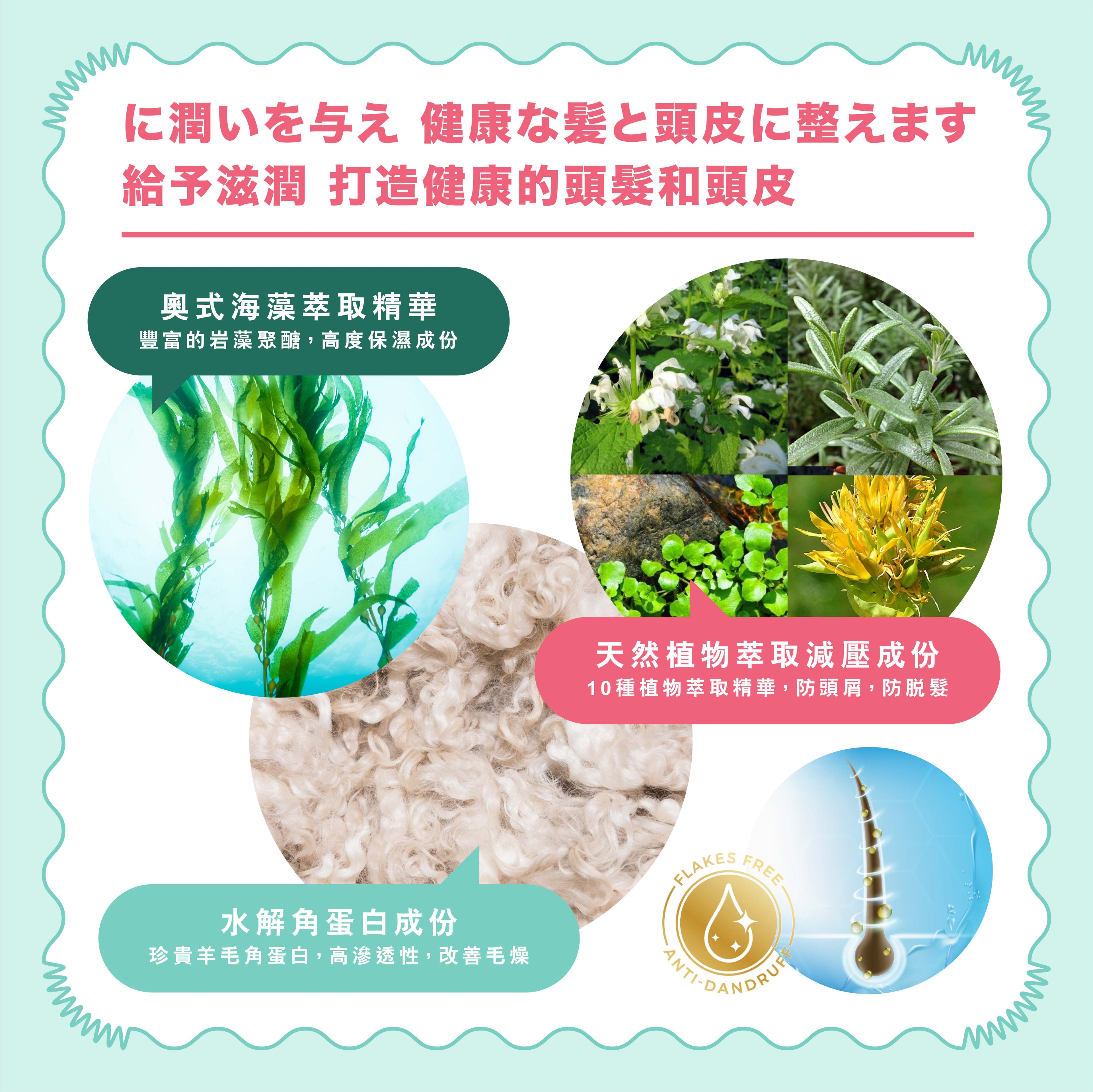 Aura Lumina Seaweed Shampoo 日本光環海藻洗髮露 無需護髮素