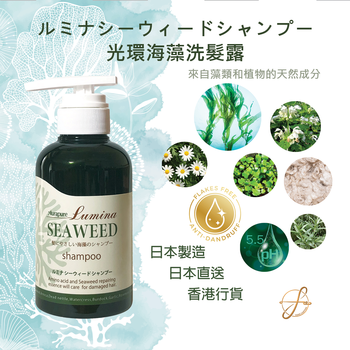 Aura Lumina Seaweed Shampoo 日本光環海藻洗髮露 無需護髮素