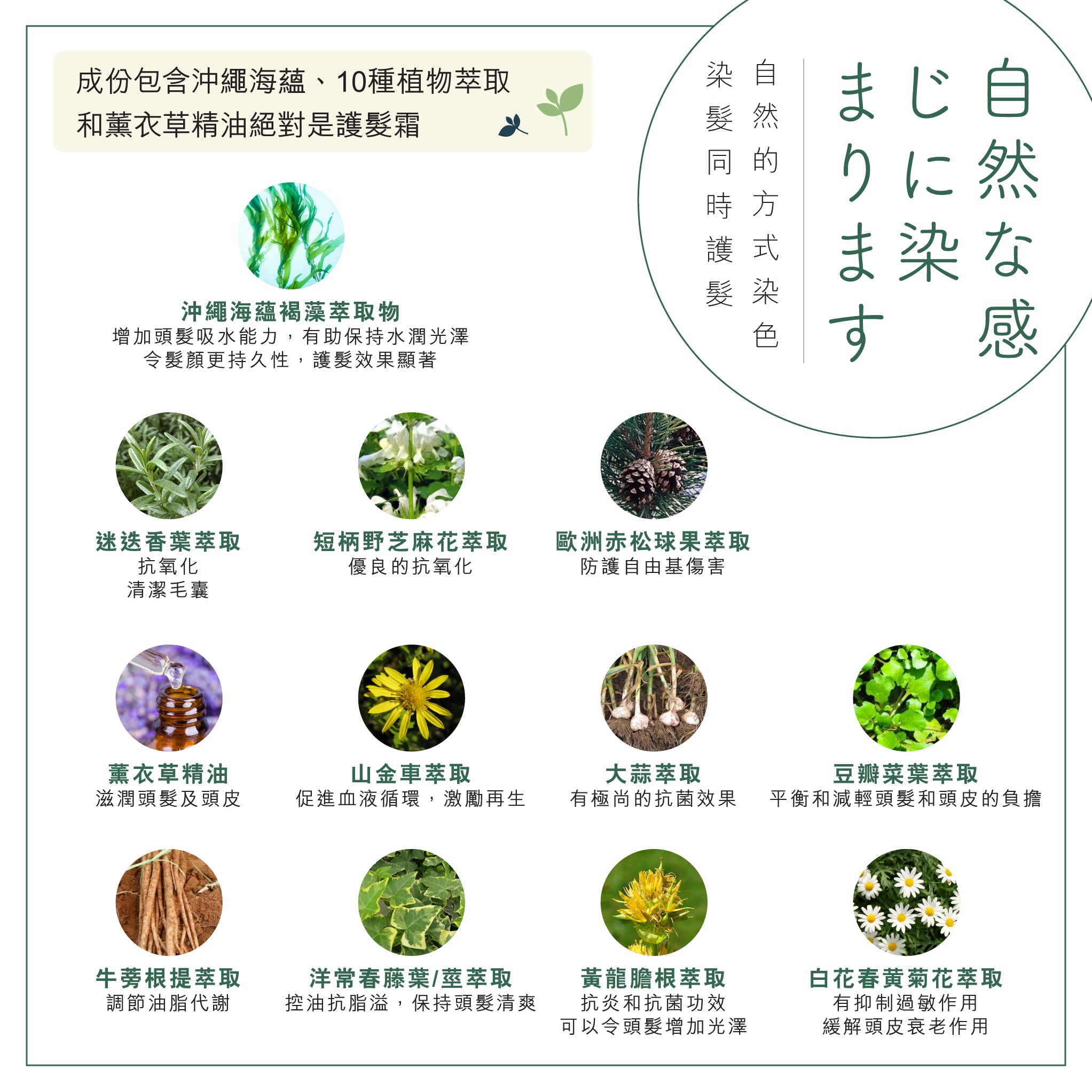 Aura Lumina Magic SR 光環陽光染髮霜 SR體驗裝 專利銀離子配方 感光染髮 免沖洗 防敏